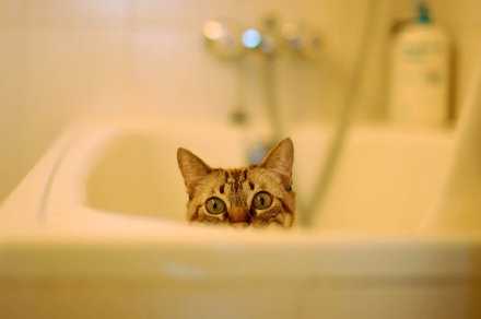 一切“心累”的感觉都源于自己内心的冲突，自我消耗并且无能为力。