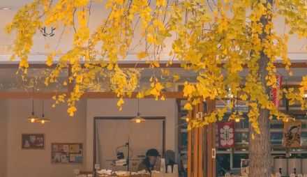 人总要活下去，日子也总要过下去，人人都会身不由己，人人都有自己的难处，遇见任何事膝盖不要软，一步一步走下去就是了。