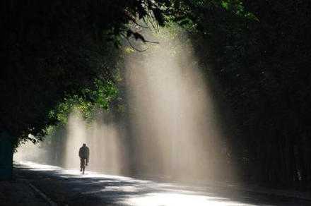 上天不会亏待努力的人，也不会同情假勤奋的人，你有多努力，时光它知道。早安~