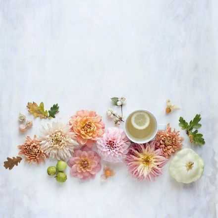 简单生活就是一种态度，心静了就平和了。不怕路长，只怕心老。早安。