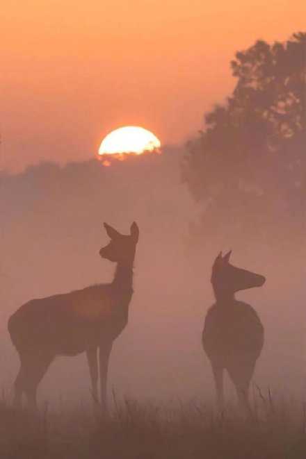 频率不同 说再多 也是言不由衷