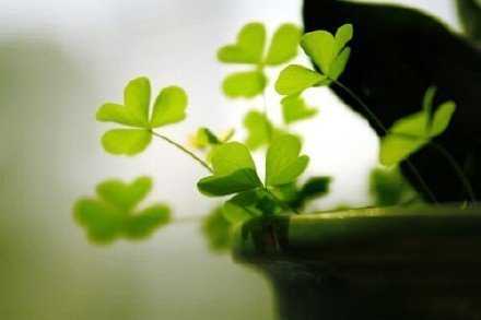 真正不羁的灵魂不会真的去计较什么，因为他们的内心深处有国王般的骄傲。