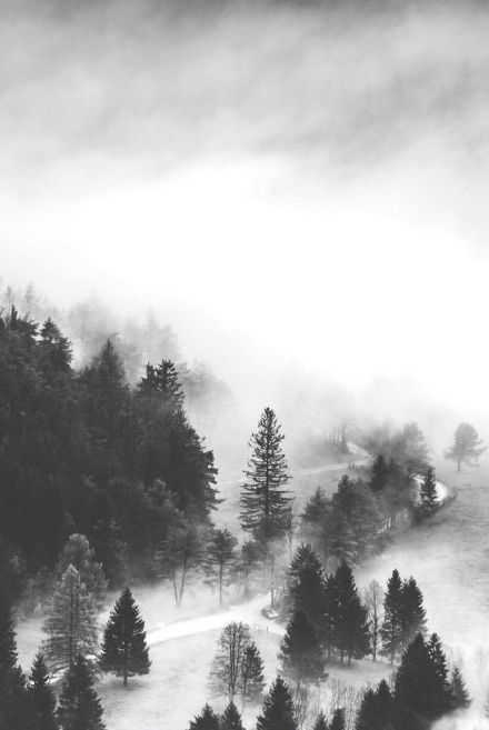 行路难，不在水，不在山，只在人情反覆间。