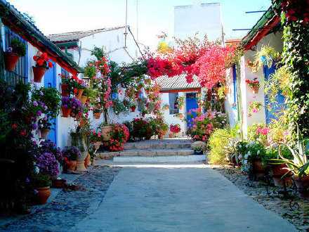 学会用一颗安宁清静的心包容一切，在有人没人处傻傻地微笑，在喧嚣繁华处体会清静，在小屋看那一份淡然，在无为处追寻幸福。