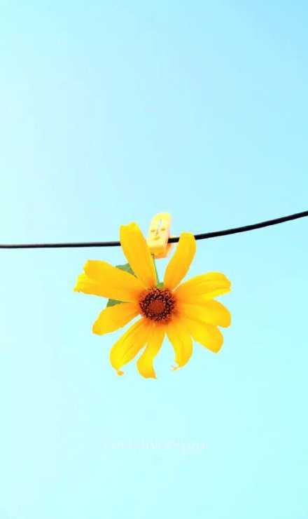 走好自己的路，迈好自己的步，少理那些背后说三道四的废物。