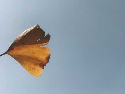 “想有一份体面的工作，能养活自己和家人，虽然听上去没什么，但实现起来真的挺不容易的。”