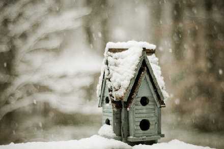 若总被忽视，又何必作贱了自己；若不被珍惜，又何必苦苦去维系。