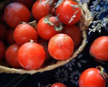 事事转顺 顺利如意