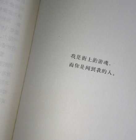 “我是街上的游魂，而你是闻到我的人。”