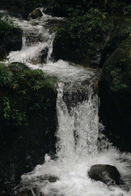 不要笑我没长大，只是不想活得太复杂。