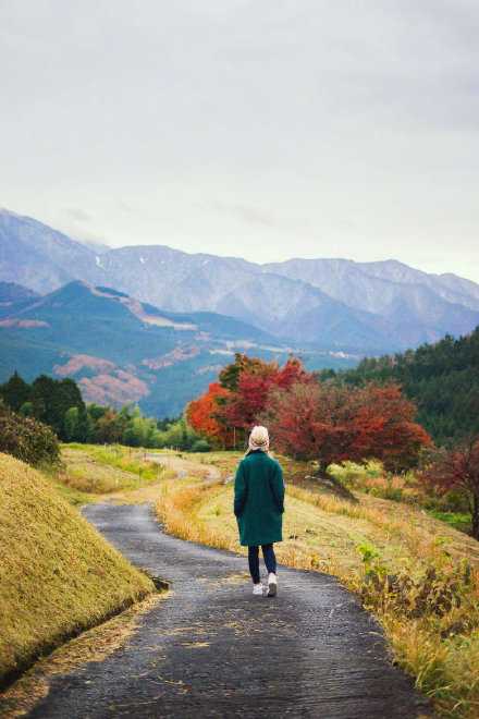 倘若一时受挫或失败，你可以允许自己焦虑、烦闷。时间到了，便收拾情绪，重新出发。