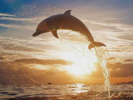 若心有所向，平凡的日子也会泛着光。