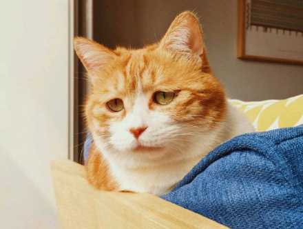 有时候不是故意小心眼爱生气 就是委屈劲儿上来了 压都压不住