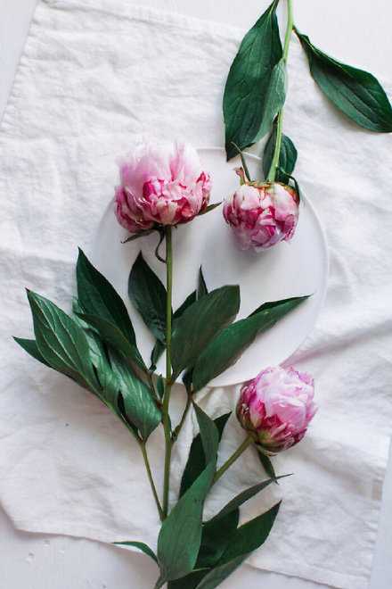 做一个温暖的人，将岁月的凝重写意成简单，将过往的风景安放在清浅的时光，演绎着相逢与喜悦，承载着爱心与温暖！早安。