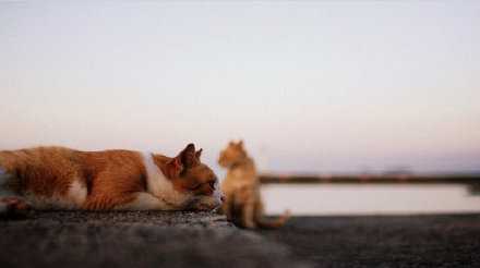 难过这个东西 难是难 终究会过