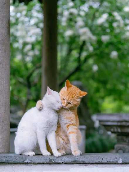 慢慢来，这真的是一个非常优雅尊贵的词。尤其是在一切都追求速度的时代里，能有人对你说“不着急，慢慢来”，这真的是从心底泛出的温柔，无可匹敌。