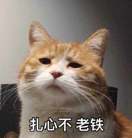 收入那么少，支付方式倒不少。