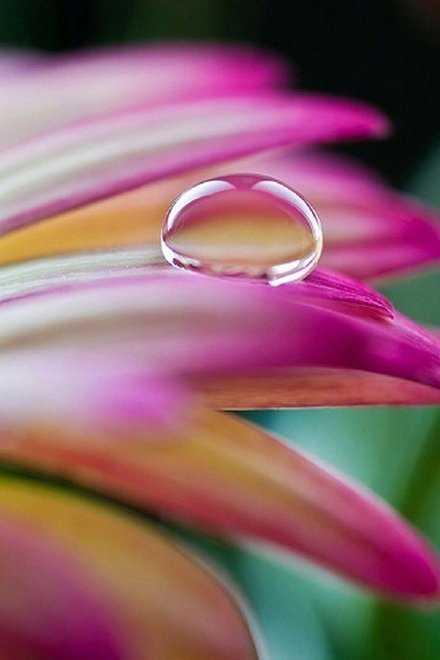 请不要拒绝容纳每一滴细小的水珠，要知道江，河、湖、海都是由千千万万这颗这样的小水珠汇集而成的。