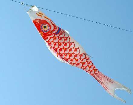 不管你要去往何方都要带着梦想，那样，你飞得再高再远都不会寂寞。