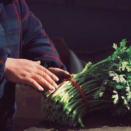 实在放不下的时候，就去菜市场走走看看：生活很难，但依旧得继续。