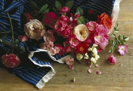 想明白了，没有爱情也不会怎么样，一个人的时候就好好沉淀，努力让自己成为一颗光亮的星，生活一定会送给你惊喜，和你契合的那颗星星也一定在未来等着你。