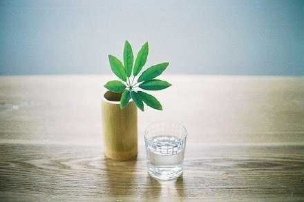 努力的最大好处，就在于你可以选择你想要的生活，而不是被迫随遇而安。早安。