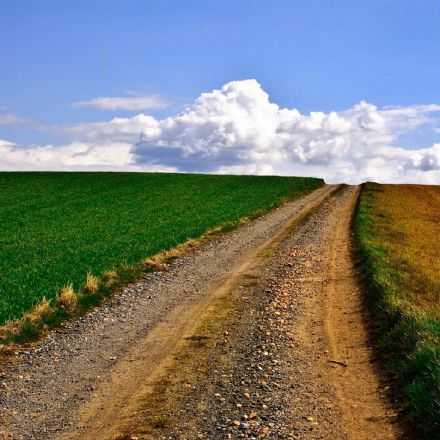 千万不要因为走的太久，而忘记了我们为什么出发。早安。