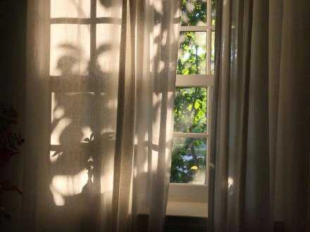 尽力之后 我选择随缘