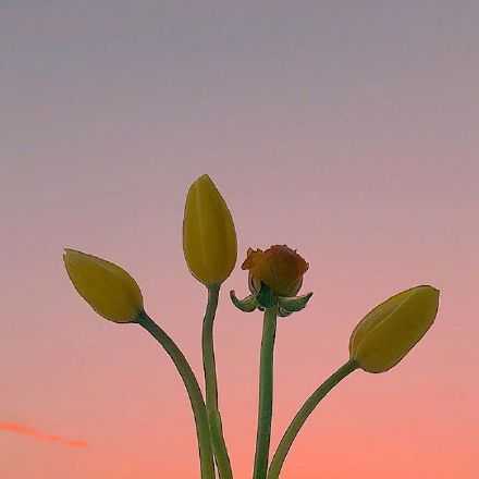 是不是长大后，连不开心都要埋在心底。