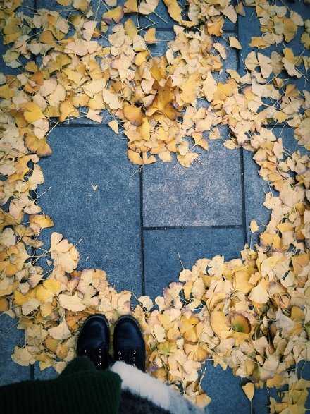 12月来临！2025年的最后一个月！珍惜，比拥有更重要。加油！