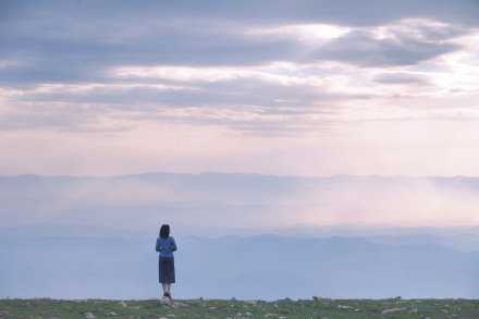恰逢归遇光，又碰遥岁长。