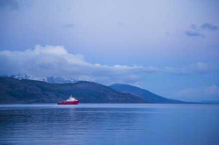 拖拖拉拉地熬夜不睡觉，根本没一点好处。天一黑就赶快钻进被窝，早上跟着太阳一起醒来，这样再好不过。