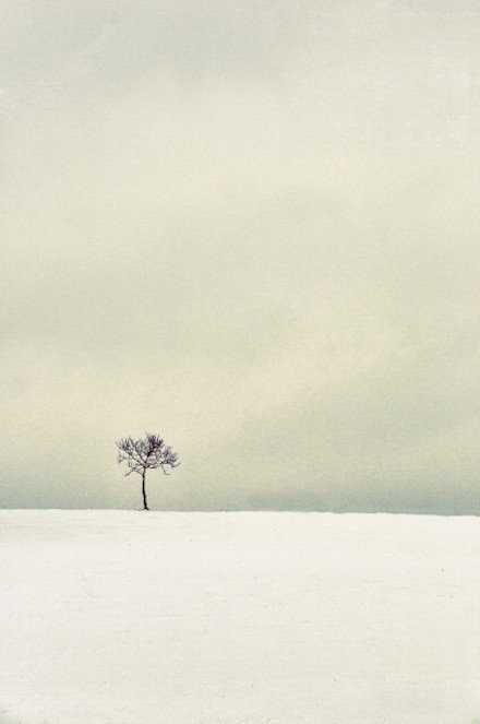 所谓郁闷，就是灵魂失去了哄骗自己的能力。