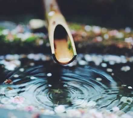 人心本无染，心静自然清。