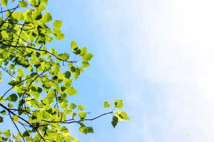 心里装满爱的人，任何时候，幸福都会在门外守候。