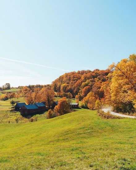 人生有所期待，活着才有奔头。能力是有限的，努力是无限的。也许现实是冷淡的，但请相信：未来一定是美好的。