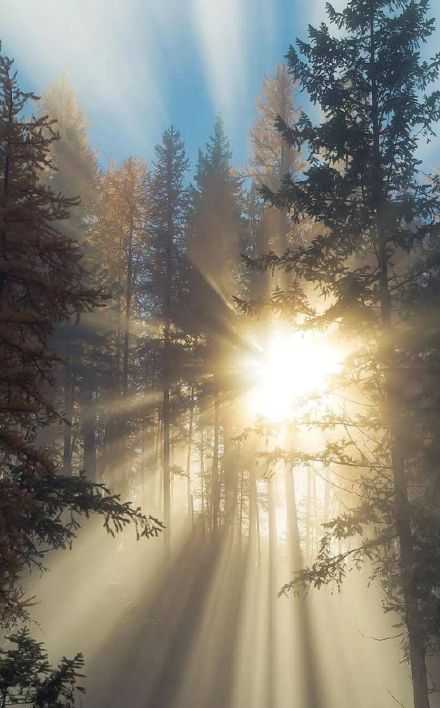 未必光芒万丈 但始终温暖有光