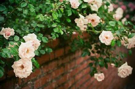 有时候，我们不得不坚强，于是乎，在假装坚强中，就真的越来越坚强。这是真的。