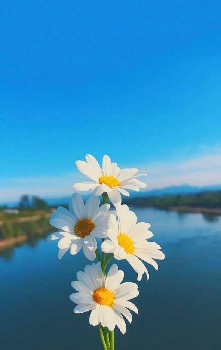 开始去做，总比什么都不做好。早安。