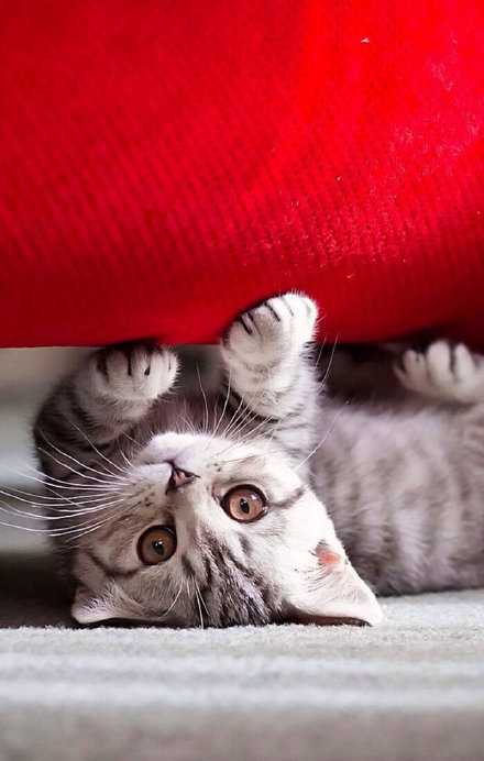 自己想明白了比什么都奏效。