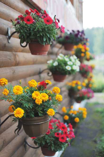 人生是很累的，你现在不累，以后就会更累。人生是很苦的，你现在不苦，以后就会更苦。唯累过，方得闲。唯苦过，方知甜。早安。