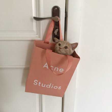 因为你看上去太成熟 太乖巧 太懂得隐藏自己的情绪 所以他们都会觉得你受点委屈没什么 反正你那么懂事 不是吗