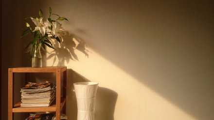 趁时光未老，去见想见的人，说想说的话，做想做的事。