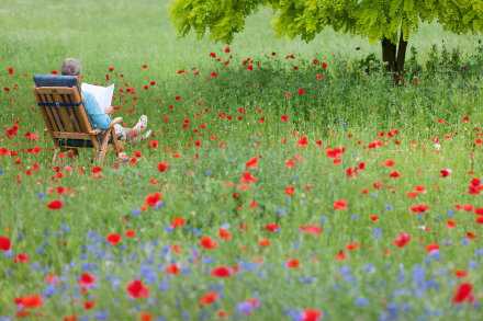 世间万物都有自己的季节。我们应该尊重自己的季节，别将他人的标准比量自己，唯有按照自己的季节生长，才可找准人生的节奏。晚一点开花不要紧，你尽管努力生长，总有一天能绽放出最美的花！