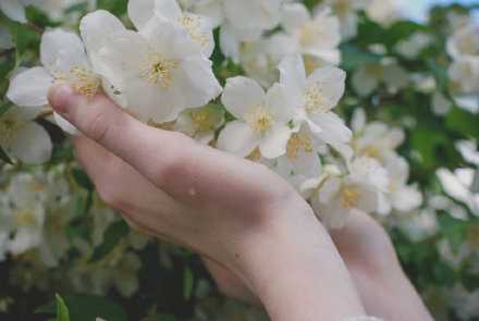 急躁解决不了任何问题，无论生活给你什么，把每一个今天都过好，才能成为最大的赢家。