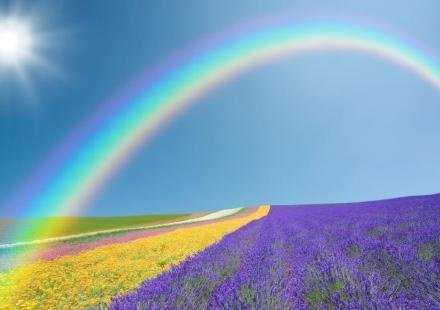 Bad days will pass. 坏事情总会过去。