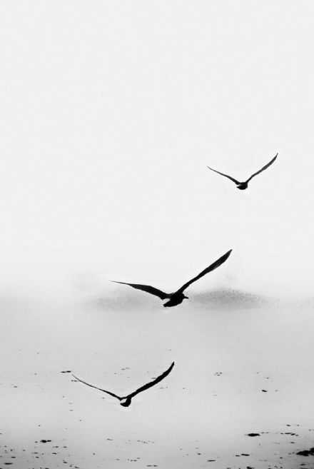 知足不辱，知止不殆。