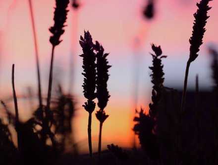 这个世上有很多事是解释不通的 比如突然的失落 莫名其妙的孤独 没有由来的落寞 以及突然冷漠的你