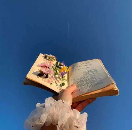 别让日常的鸡零狗碎，破坏了生活的意义。