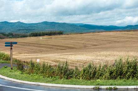 所有的压力都来自于太想要了，所有的痛苦都源于太较真了，调整好心态，慢既是稳，稳既是进。